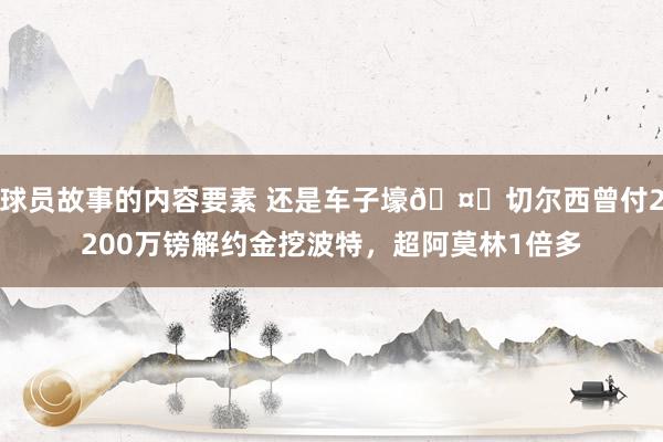 球员故事的内容要素 还是车子壕🤑切尔西曾付2200万镑解约金挖波特，超阿莫林1倍多