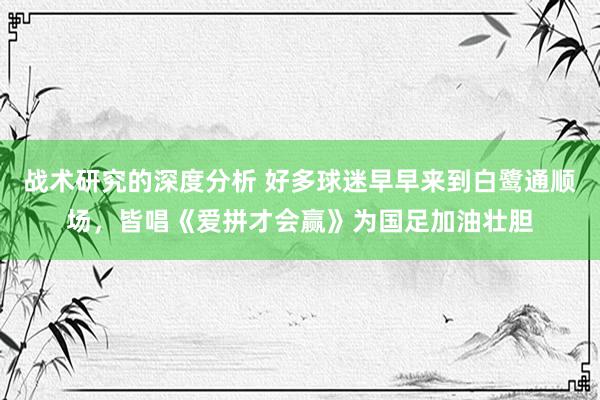 战术研究的深度分析 好多球迷早早来到白鹭通顺场，皆唱《爱拼才会赢》为国足加油壮胆