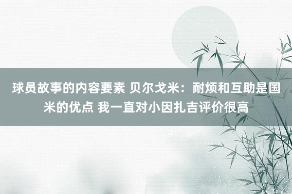 球员故事的内容要素 贝尔戈米：耐烦和互助是国米的优点 我一直对小因扎吉评价很高