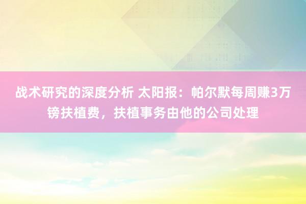 战术研究的深度分析 太阳报：帕尔默每周赚3万镑扶植费，扶植事务由他的公司处理