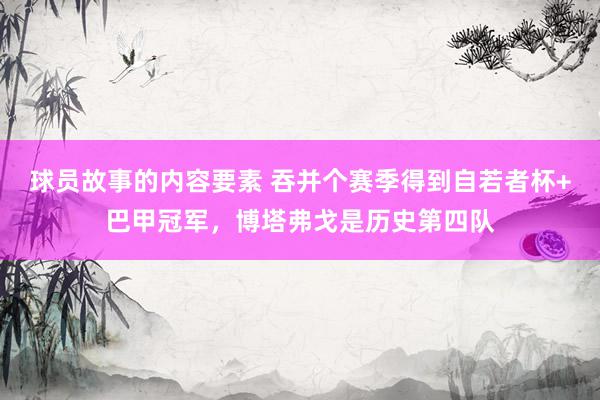 球员故事的内容要素 吞并个赛季得到自若者杯+巴甲冠军，博塔弗戈是历史第四队