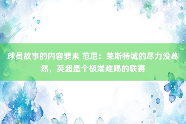 球员故事的内容要素 范尼：莱斯特城的尽力没蓦然，英超是个极端难踢的联赛